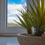 Vita Portucale ! Stylish Apartment Campo Ourique